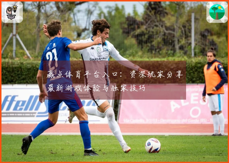 赢点体育平台入口：资深玩家分享最新游戏体验与独家技巧