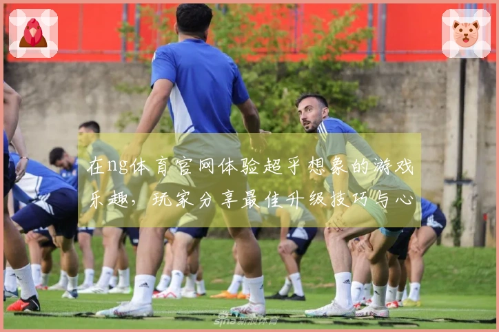 在ng体育官网体验超乎想象的游戏乐趣，玩家分享最佳升级技巧与心得！