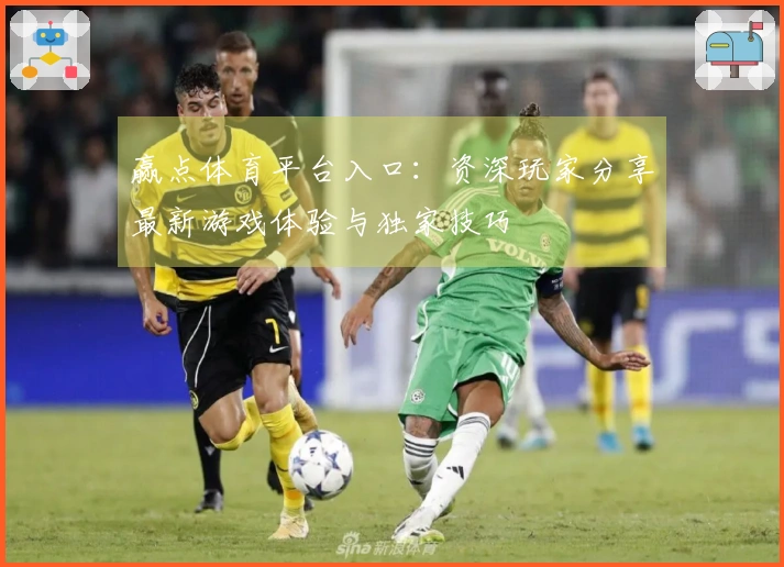 赢点体育平台入口：资深玩家分享最新游戏体验与独家技巧